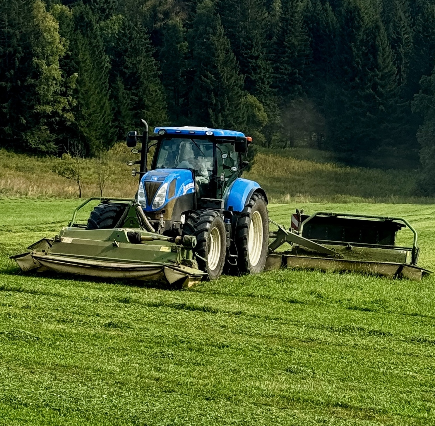 feld_maehen(1)